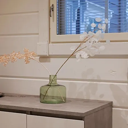 Northern Highlight *