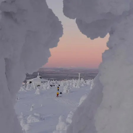 Northern Highlight