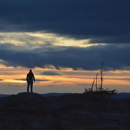 Northern Highlight Loma-asunnot Levi