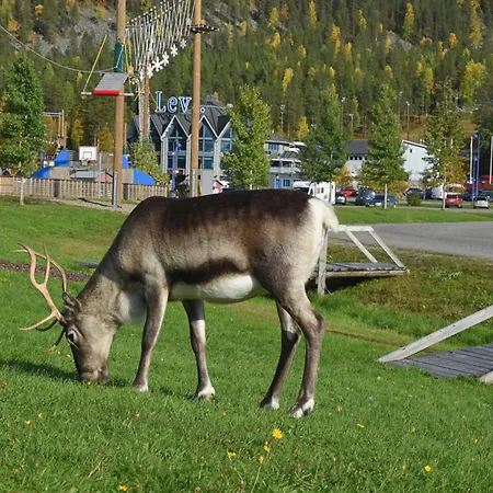 Nyaraló Northern Highlight