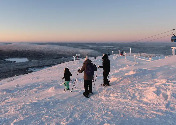 Northern Highlight * Levi