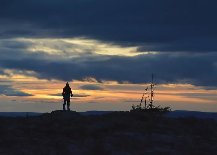 Northern Highlight Hébergement de vacances Levi