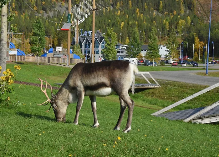 Hébergement de vacances Northern Highlight